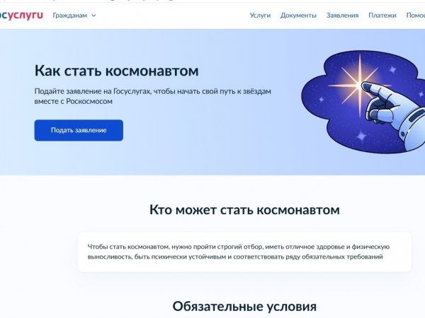 скриншот с сайта Госуслуг