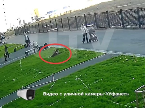 Скриншот с видео уличной камеры Уфанет