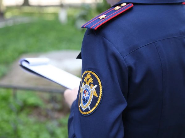 задержана по подозрению в убийстве, фото СУ СК РФ 