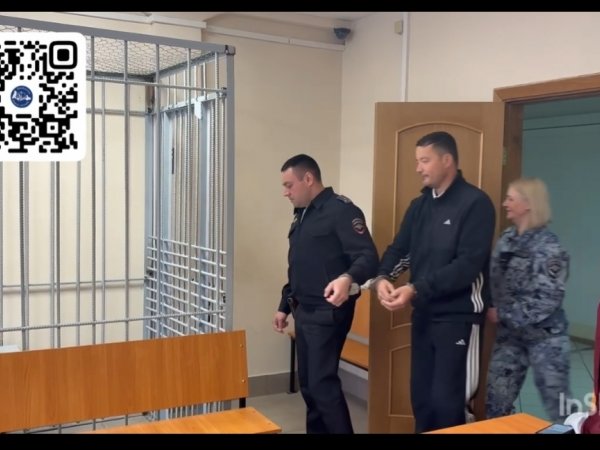контрабандист в зале суда