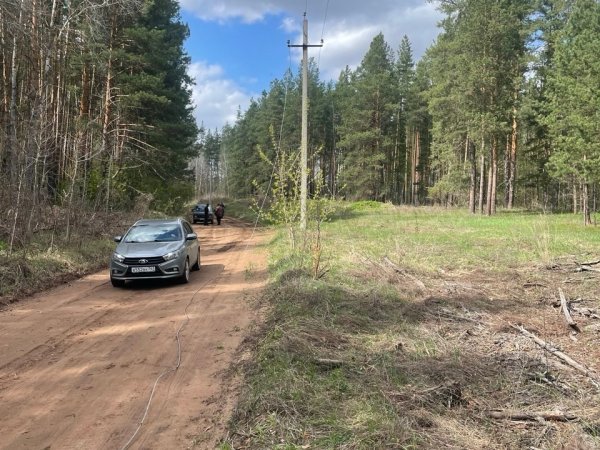 Ветер ломает деревья и сносит машины с дорог