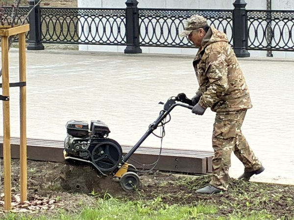 Озеленение набережной Урала завершается