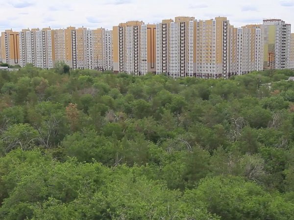 Школа, детский сад и жилой дом пострадали в Оренбурге от атаки БПЛА
