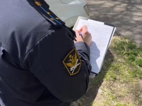 Гастроскоп вместо алиментов: у оренбуржца забрали медицинский прибор за долг перед дочерью