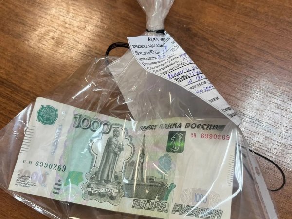 В Оренбуржье иностранца будут судить за попытку подкупить инспектора ДПС