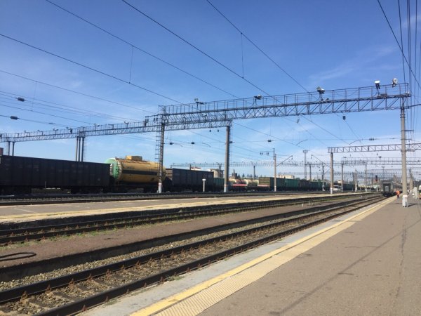 СК РФ, ФСБ и УМВД задержали терраристов