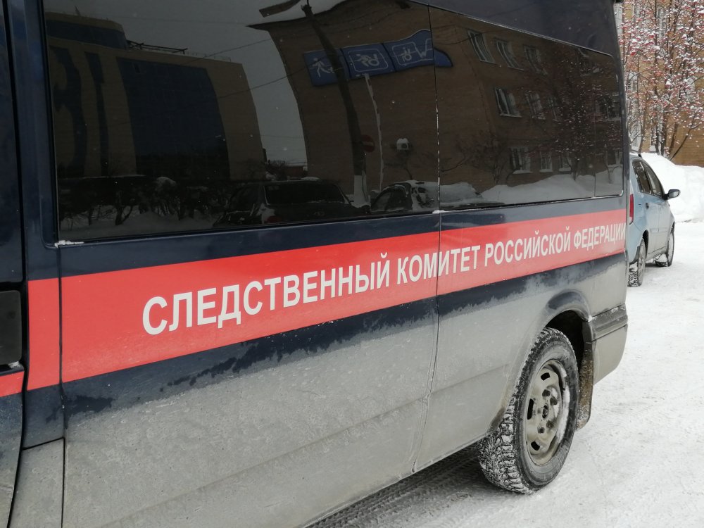 СК РФ выясняет подробности гибели двух мужчин от удара током СК РФ выясняет подробности гибели двух мужчин от удара током