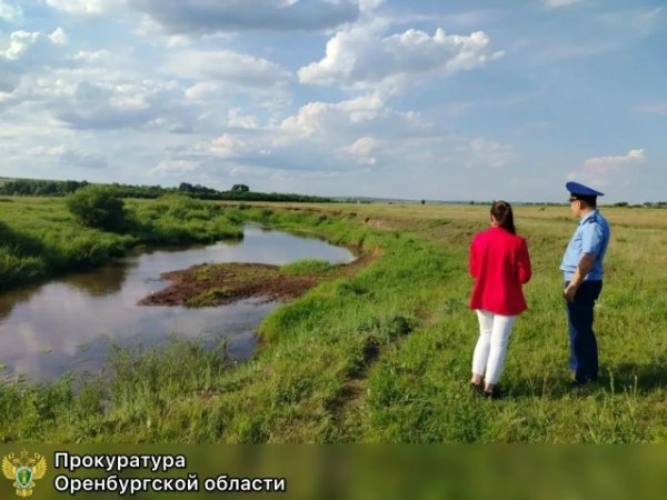 на реке Чебенька в необорудованном для купания месте утонул подросток