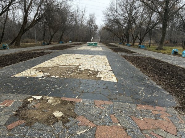 Зауральную рощу в Оренбурге все-таки приведут в порядок… Но пока только частично