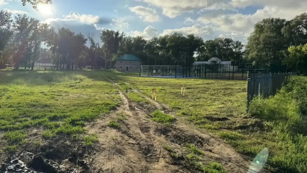лыжная трасса в Зауральной роще лыжная трасса в Зауральной роще