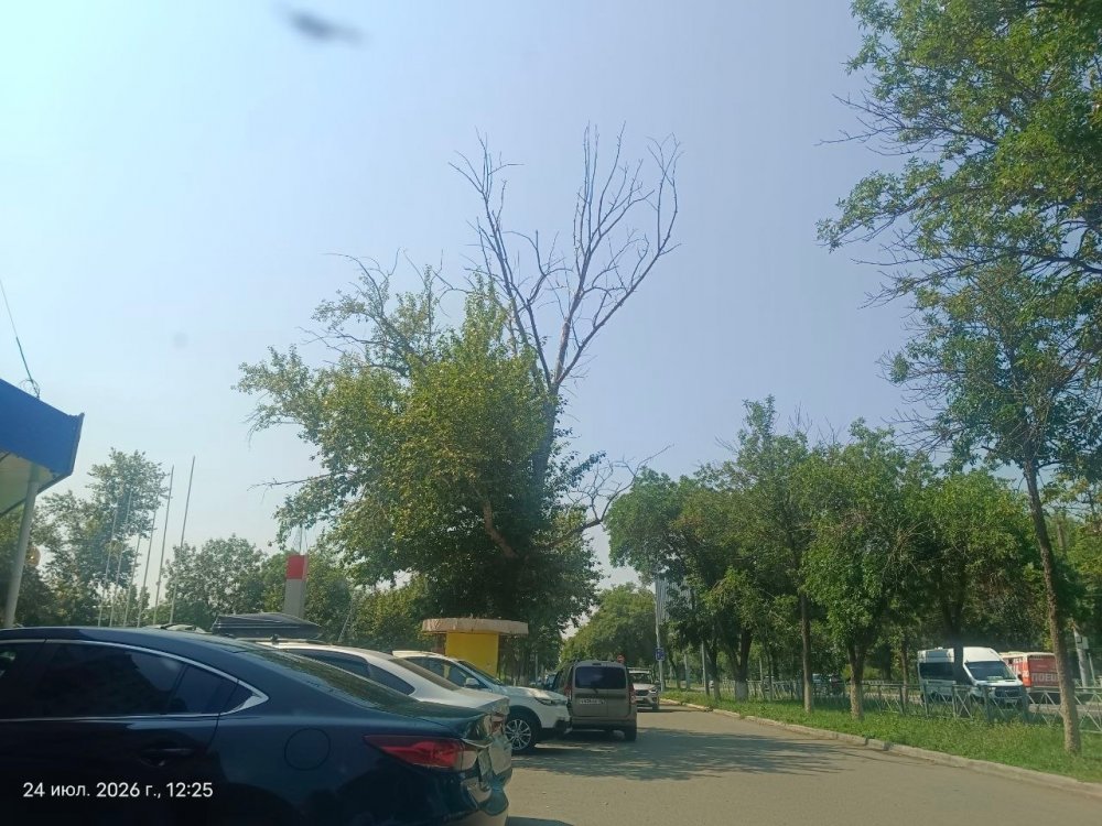 фото от народного корреспондента