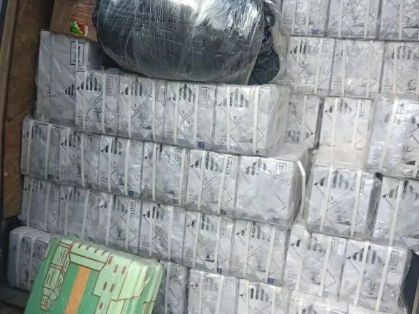 В Оренбургскую область пытались незаконно ввезти более 27 тонн пестицидов из-за границы