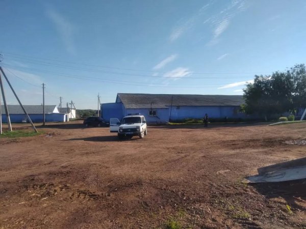В Оренбуржье животновод на коне врезался в линию электропередачи и получил тяжелые травмы