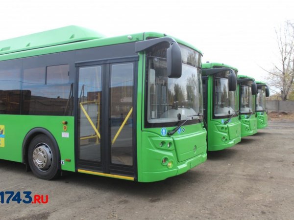 В Оренбурге пассажирка сломала позвонок при резком маневре автобуса