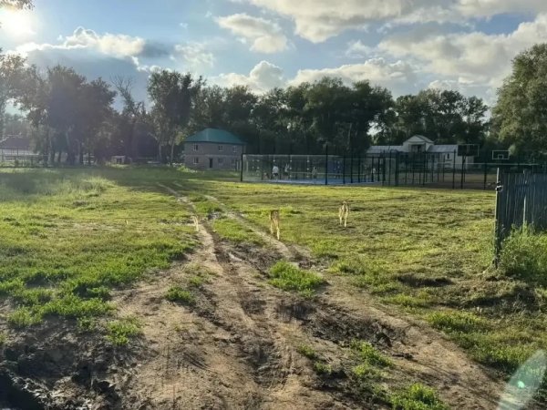 лыжная трасса в Зауральной роще 