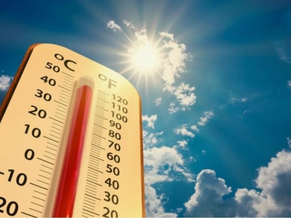 столбик термометра поднимется до + 39