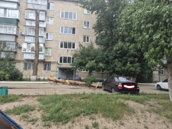 Чудом удалось избежать трагедии! В Оренбурге вновь падают деревья