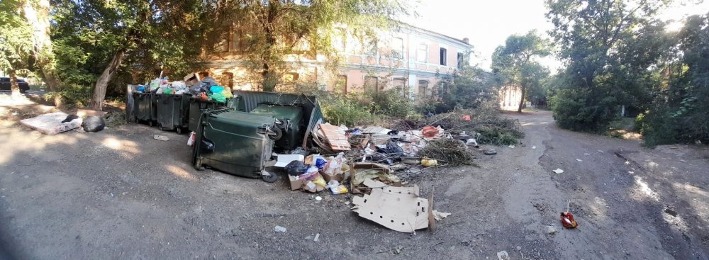 Две коробки тухлого мяса портят жизнь и воздух жителям