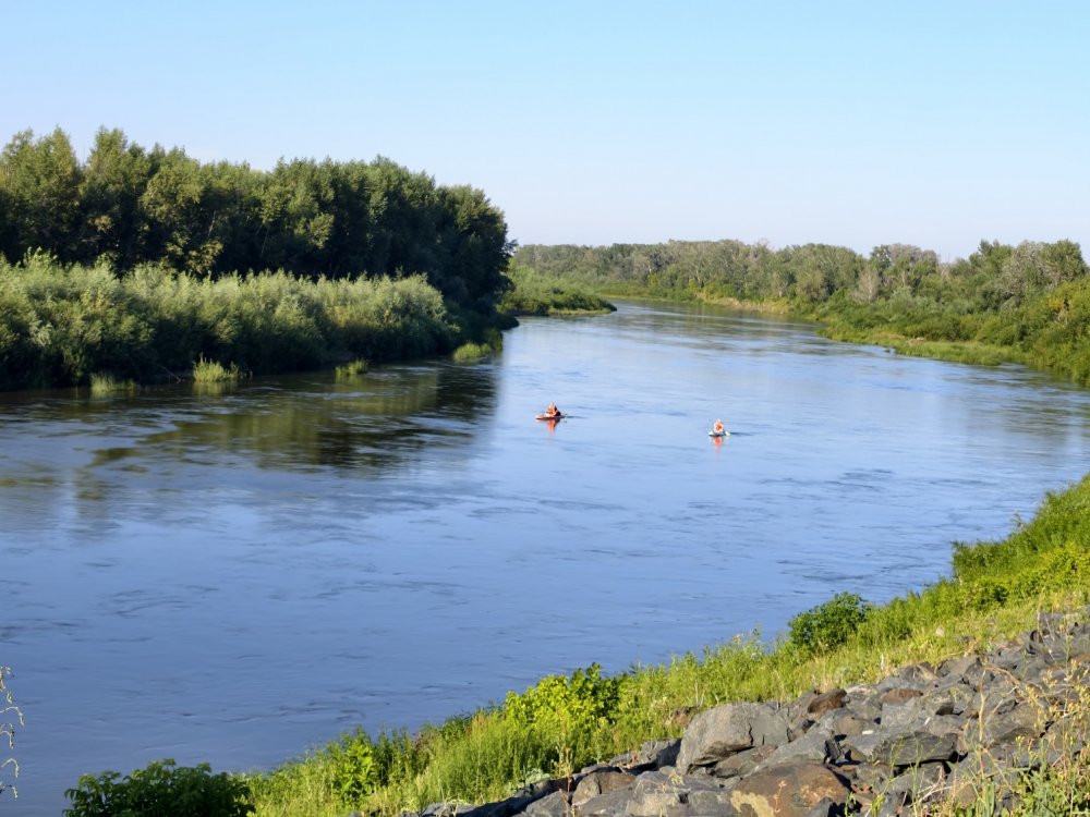 спасатели достали тело из воды спасатели достали тело из воды