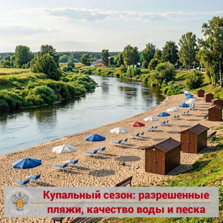 на какие пляжи можно на какие пляжи можно