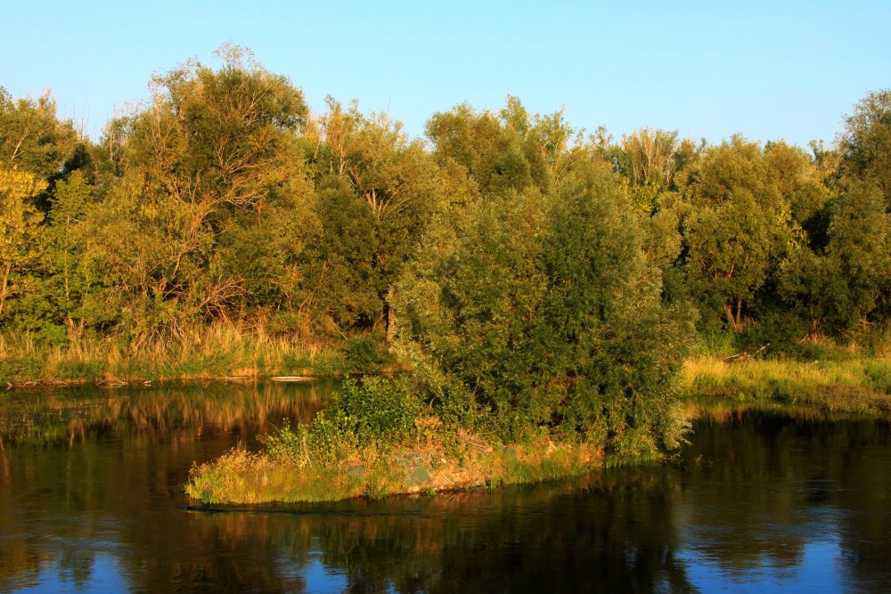 В Оренбуржье приходит осень. Фото 1743.ru В Оренбуржье приходит осень. Фото 1743.ru