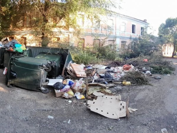 Две коробки тухлого мяса портят жизнь и воздух жителям