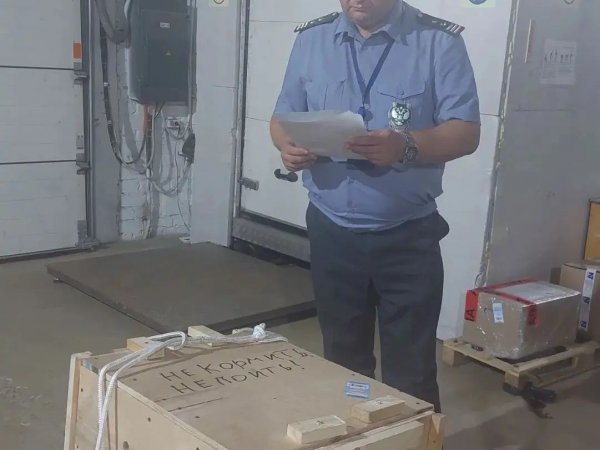 В Оренбург привезли самца капибары