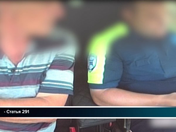 Видео: водитель хотел откупиться от штрафа 1000 рублями