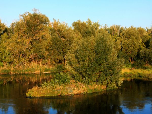 В Оренбуржье приходит осень. Фото 1743.ru