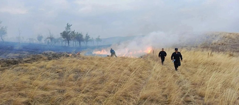 горят дома в Кваркенском районе