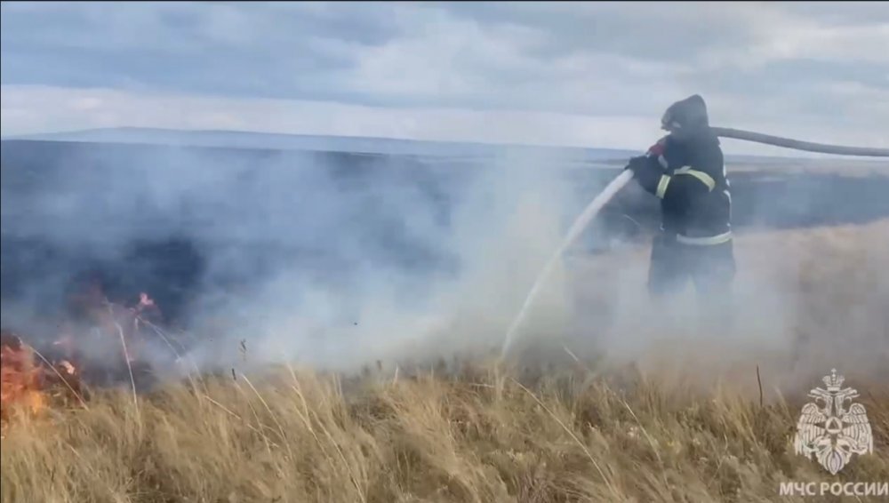 сотрудники МЧС делают проливку почвы