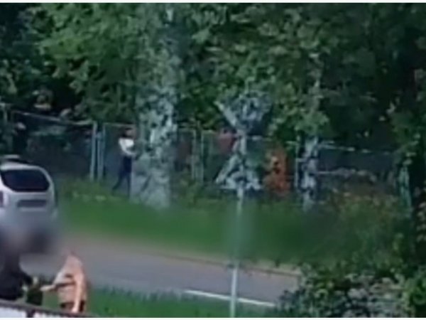 В Оренбурге курьер мошенников забрал у пенсионерки деньги, но попал на камеры видеонаблюдения