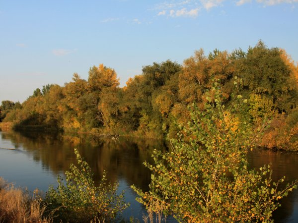 В Оренбуржье приходит настоящая осень. Фото 1743.ru