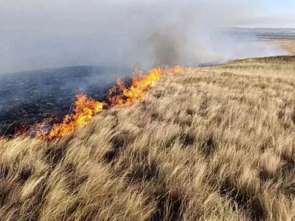 Пожарные борются с огнем в Кувандыкском районе