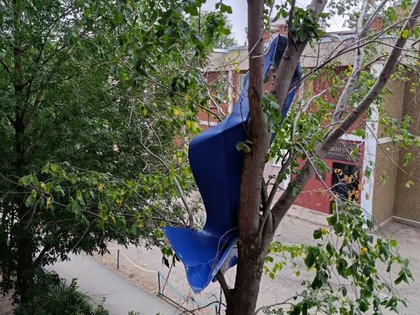 Ветрено... Жители Центральной 16/3 в Оренбурге делятся видео фасада своего дома
