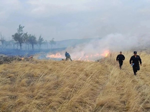 горят дома в Кваркенском районе