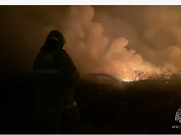 тушение пожара в Кваркенском районе продолжается