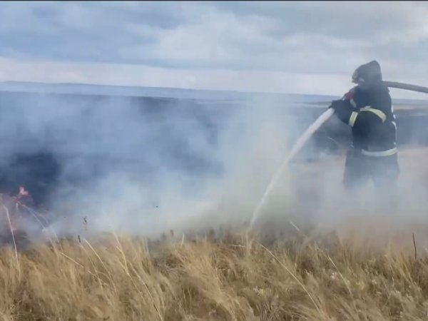 сотрудники МЧС делают проливку почвы