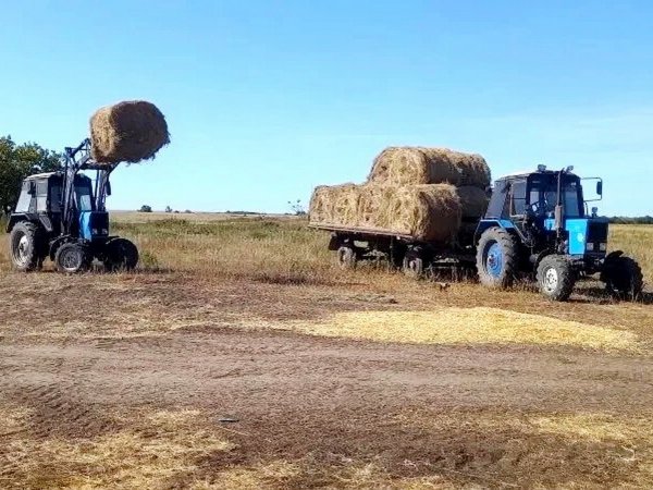 Косари из «Черного дельфина» выполняют план по сену