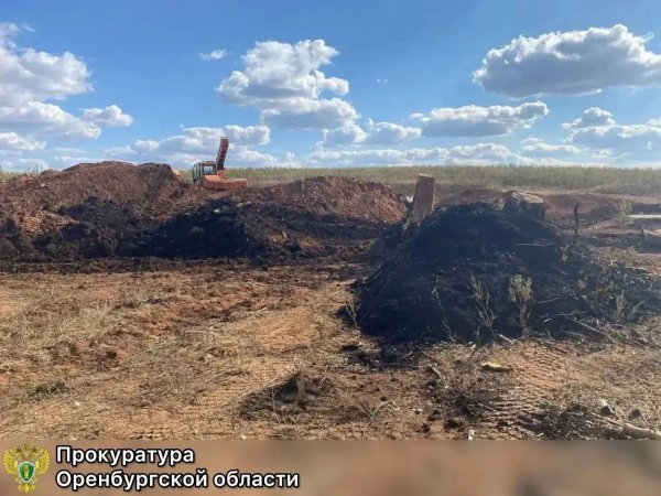 За испорченный плодородный слой почвы прокуратура требует 20 млн рублей