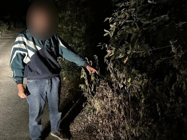 В Оренбурге у 20-летнего парня нашли наркотики и дома, и при задержании