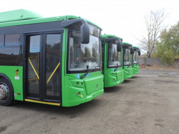 Сегодня оренбуржцы смогут бесплатно ездить на дачных автобусах