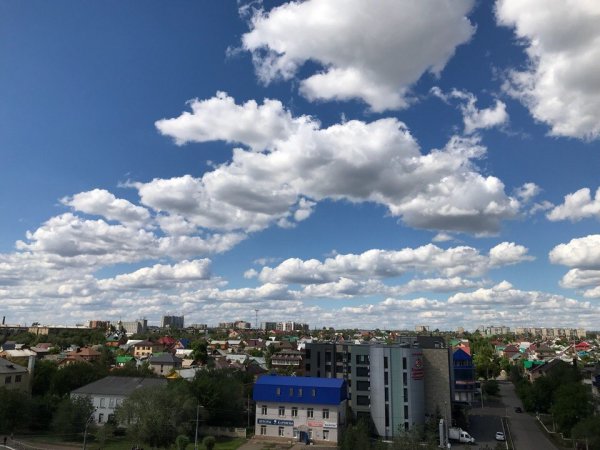 Над Оренбургской областью был сбит беспилотник