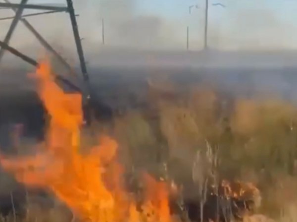 Под Оренбургом сухая трава загорелась от автомобиля