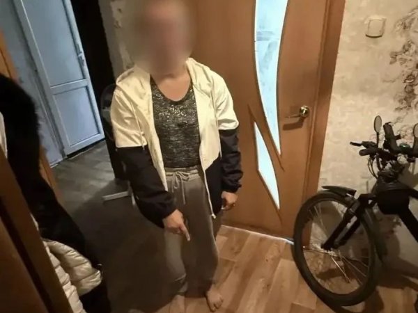 Оренбурженка пролезла в щель в заборе, гвоздодером вскрыла дверь дома, чтобы совершить кражу