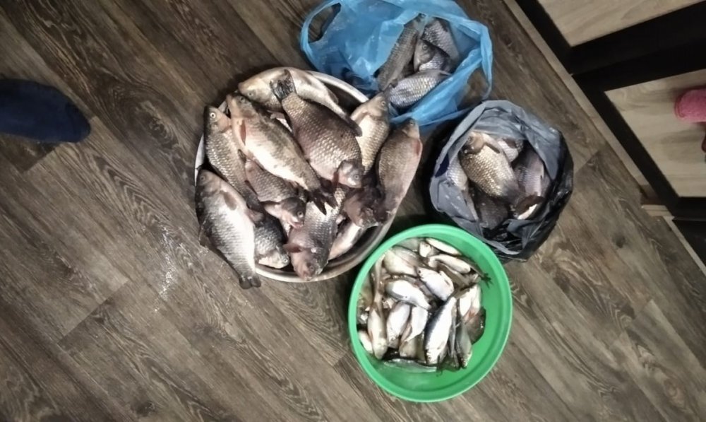 Ноябрьская рыбалка
