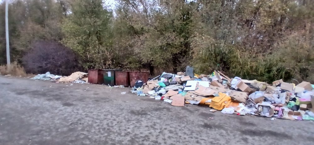 Прецедент создан: уборка четырех контейнерных площадок в Оренбурге возложена на управляющие компании