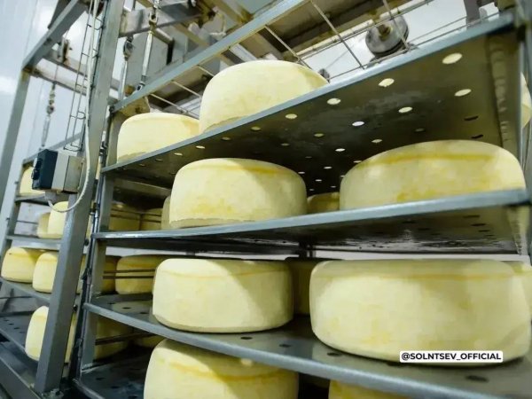 Евгений Солнцев рассказал о трехкратном росте экспорта зерна из Оренбуржья