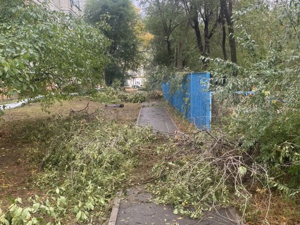 Тропинка вдоль детского сада 146 в Оренбурге третий день завалена ветками!