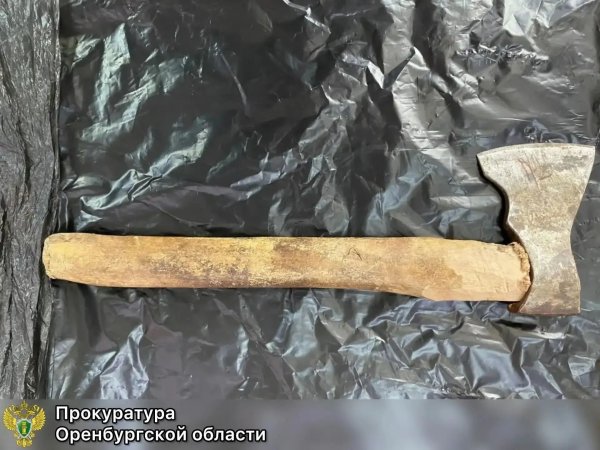 Одного ударил топором, второго зарезал: житель Асекеево получил 10 лет строгача